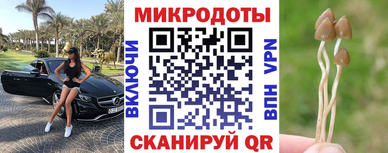 купить закладку  Заозёрск  Псилоцибиновые грибы прущие грибы 